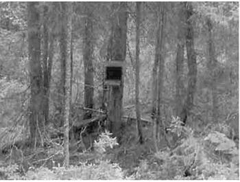 Black and white photo showing Marten box in C1602.