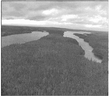 This black and white photo shows the Peninsula between Currie and Radisson Lakes.