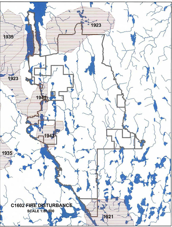 This map provides detailed information about locations of fires in the Whitefish and East Whitefish Lakes Sandy Till Upland Conservation Reserve. Years when fires occured are marked on the map and include 1921, 1923, 1935 and 1943.