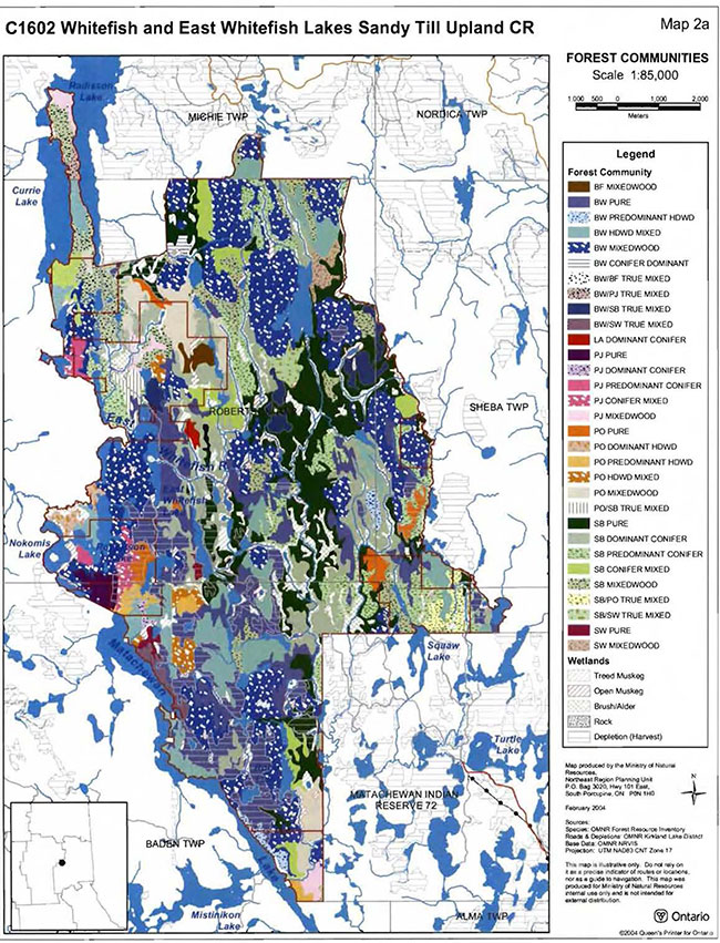 Whitefish and East Whitefish Lakes Sandy Till Upland Conservation ...