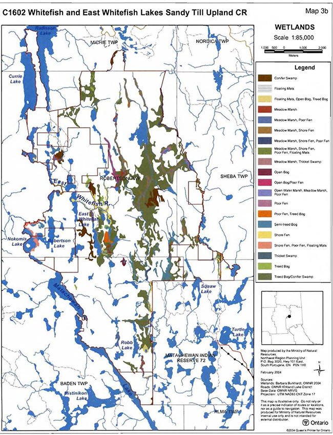This Wetlands map shows various types of swamps, mats, bogs, marshes and fens in the Whitefish and East Whitefish Lakes Sandy Till Upland Conservation Reserve.