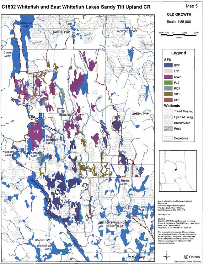 This map provides detailed information about Old Growth forest communities and includes the Standard Forest Units of BW1, LC1, MW1, PJ2, PO1, SB1, SP1. Wetlands and depleted areas are also shown.