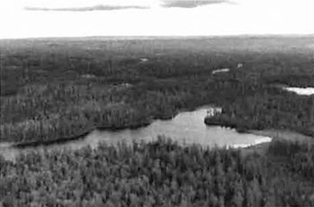 This photo shows South of Currie Lake, along the west boundary, looking Southeast. Meadow marsh and poor fens along shoreline. Some supercanopy Pw present. Forest communities include Bw mixedwood, Pj predominant conifer and Sb conifer mixed.