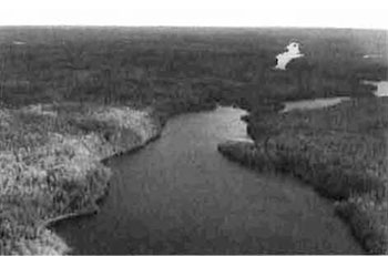 This photo shows North end of Matachewan Lake, looking south. East side of lake consists of Bw/Sw true mixed, Bw pure, Bw mixedwood and Bw hardwood mixed. Some Pr with Ce understory on edge.