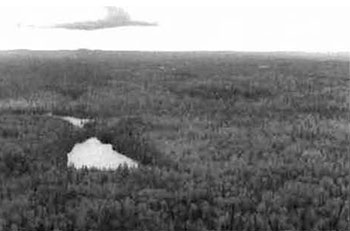 This photo shows Taken from the Northwest corner of Matachewan Indian ReseNe, looking west towards bedrock ridge in middle of Conservation Reserves. Forest primarily Bw mixedwood, Bw hardwood mixed, Bw pure and Sb mixedwood.