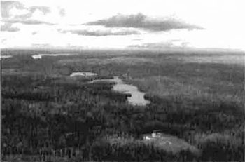 This photo shows C1602 Whitefish and East Whitefish Lakes Sandy Till Upland Conservation Reserve.