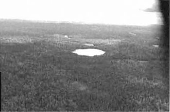 This photo shows a view taken at the top mid-north boundary, south. Sb pure (treed bog/conifer swamp) in lowlands with some treed bog. Surrounded by conifer mixed and Bw mixedwood.