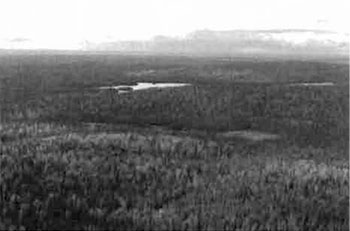 This photo Taken from the east boundary, looking Northwest towards north part of the Conservation Reserves. Mix of Bw/Sb true mixed, Sb pure (treed bog/conifer swamp) and Bw mixedwood. Shore and poor fens on small lake in foreground.