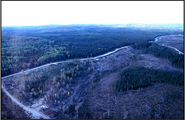 This is a photo showing two end moraine ridges