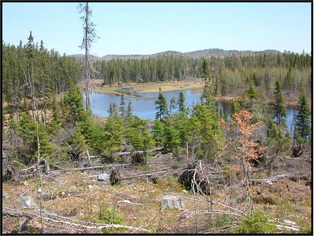 This is figure 2 photo that depicts a wetland as part of a number of small unnamed lakes.