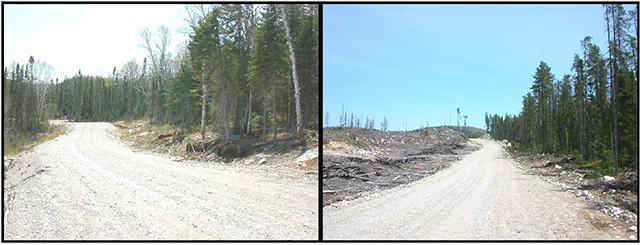 This is figure 2 depicting roads that border the site.