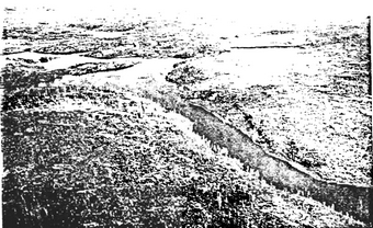 Photo showing Burn area near Teggau Lake, showing thin till over bedrock.