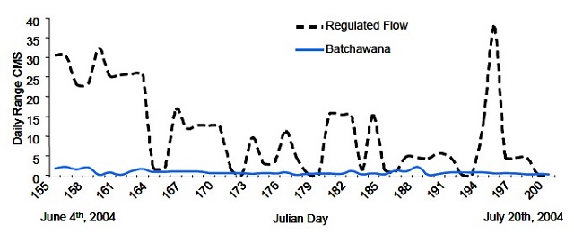 Line graph showinng daily range of flows on the y-axis ranging from 0 metres cubed per second to 40 metres cubed per second and Julian day on the x-axis ranging from approximately 155 to 200. Regulated flow is indicated with a black dotted line and Batchawana is indicated with a blue line.