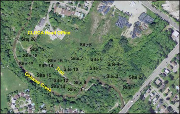 Map 1: Aerial image of former site of Robson-Lang tannery property with sampling site numbers, Central Lake Ontarion Conservation Authority head office, trail and Oshawa Creek labels superimposed on the image Source: Google Earth