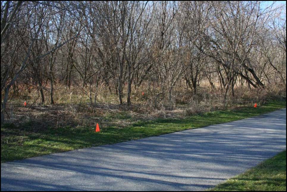 View looking south to Site 14 from the walking trail