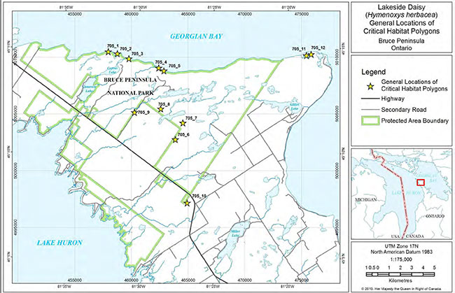 General Locations of Critical Habitat Polygons on the Bruce Peninsula.