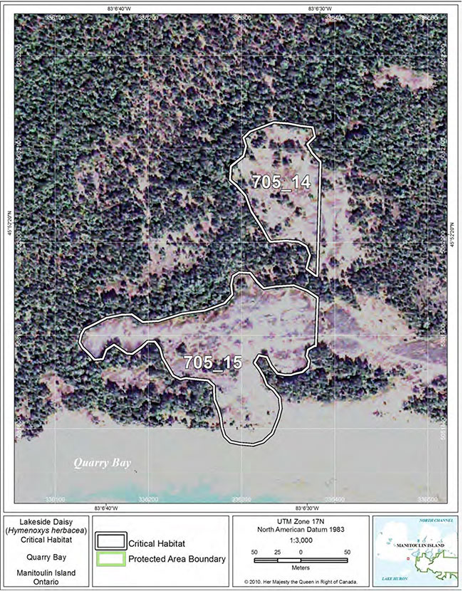 Fine-scale map of Lakeside Daisy critical habitat parcels 14 and 15 on Manitoulin Island.