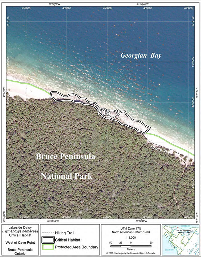 Fine-scale map of Lakeside Daisy critical habitat parcel 3 on the northern Bruce Peninsula.
