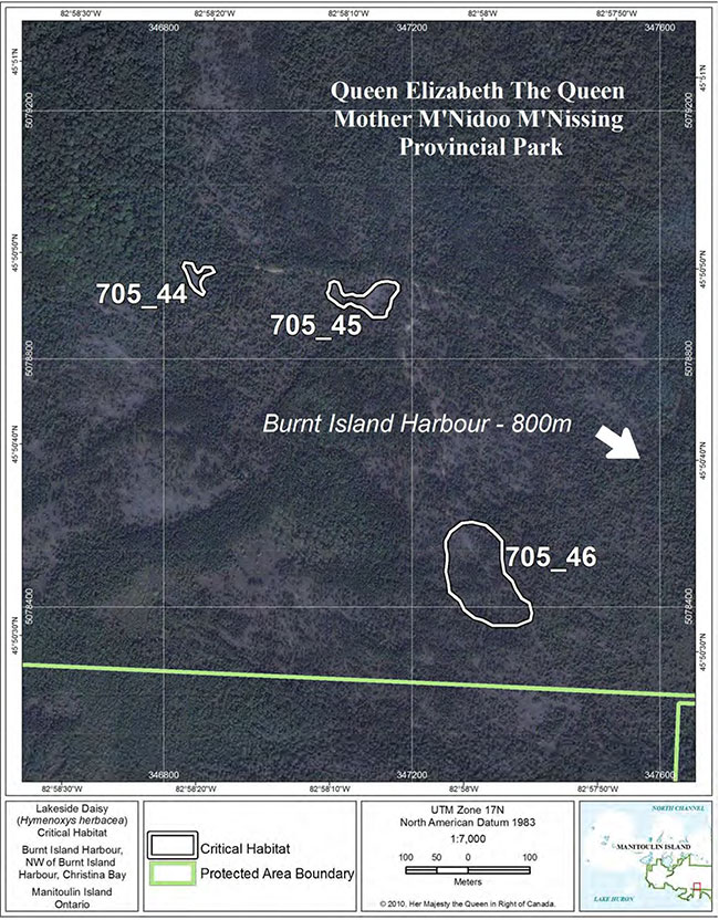 Fine-scale map of Lakeside Daisy critical habitat parcels 44-46 on Manitoulin Island.