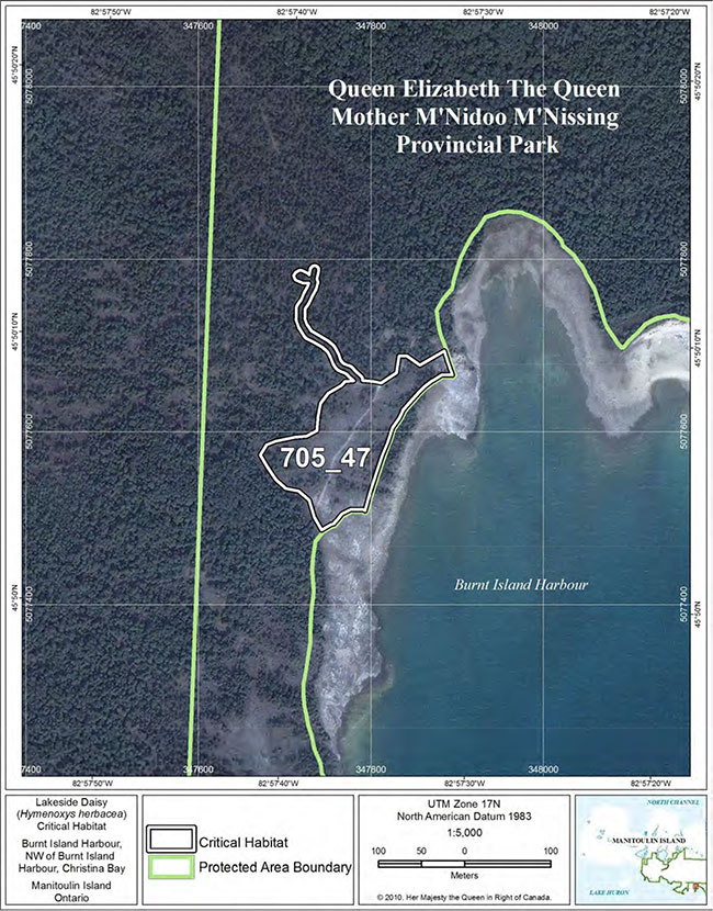 Fine-scale map of Lakeside Daisy critical habitat parcel 47 on Manitoulin Island.