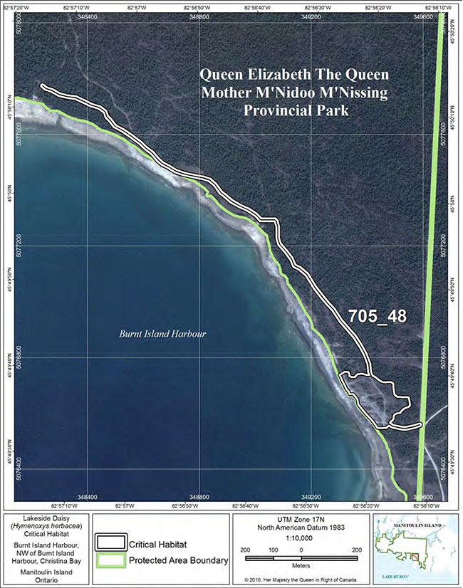 Fine-scale map of Lakeside Daisy critical habitat parcel 48 on Manitoulin Island.