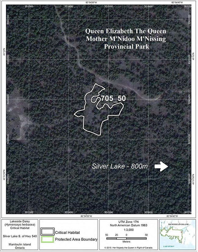 Fine-scale map of Lakeside Daisy critical habitat parcel 50 on Manitoulin Island.