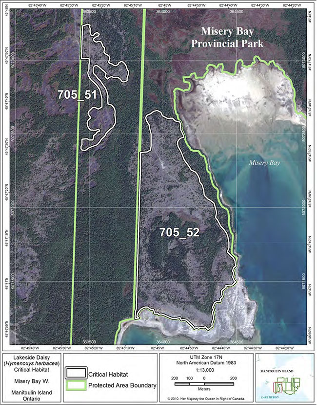 Fine-scale map of Lakeside Daisy critical habitat parcels 51 and 52 on Manitoulin Island.