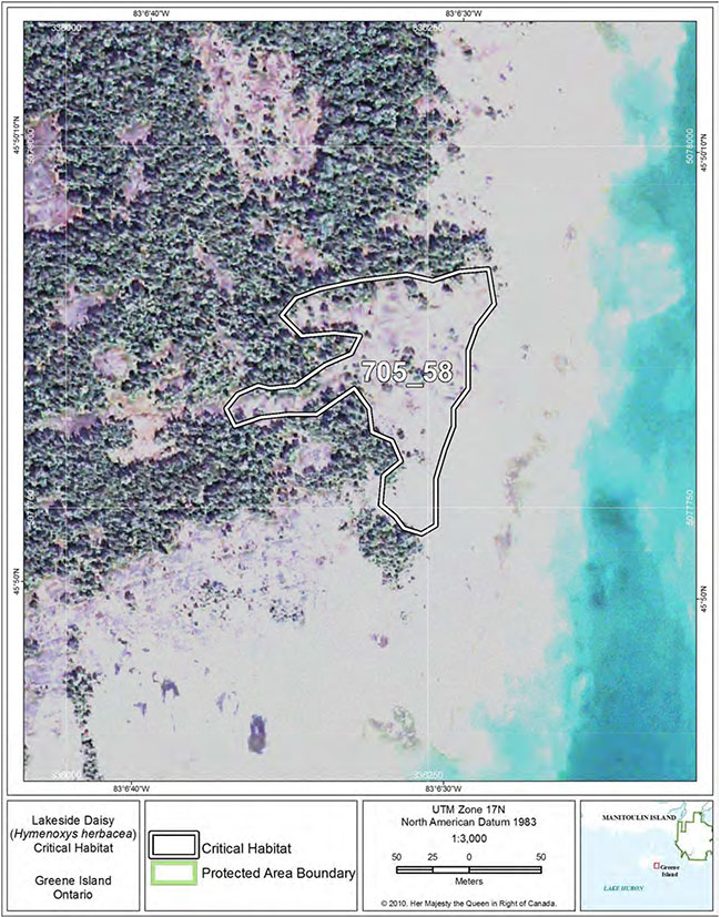 Fine-scale map of Lakeside Daisy critical habitat parcel 58 on Greene Island.