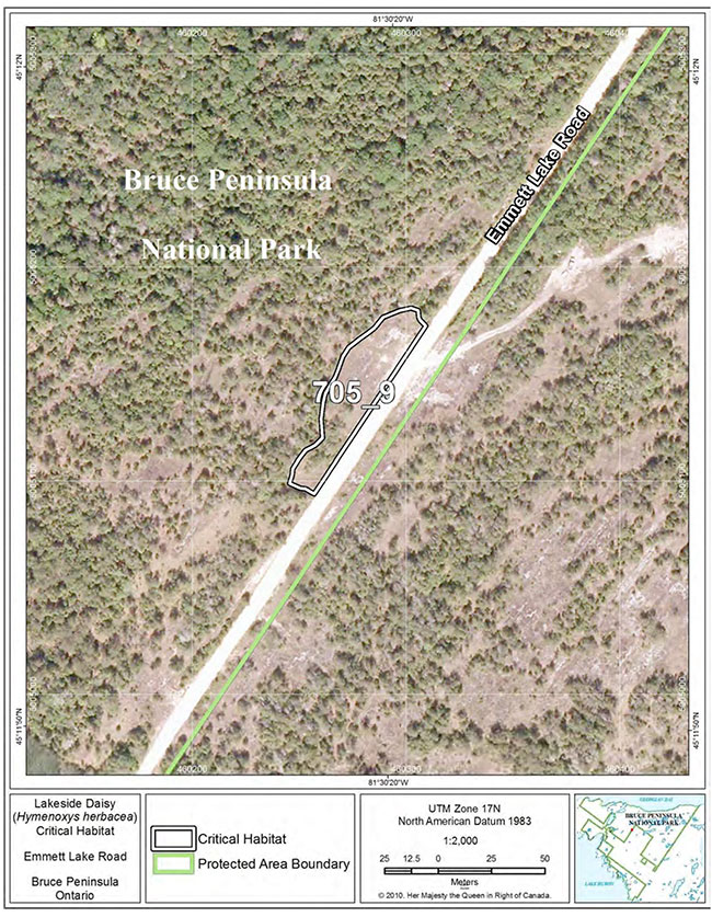 Fine-scale map of Lakeside Daisy critical habitat parcel 9 on the northern Bruce Peninsula.