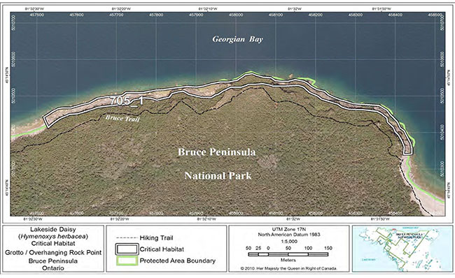 Fine-scale map of Lakeside Daisy critical habitat parcell on the northern Bruce Peninsula