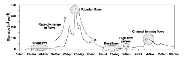 Ecologically important flow components, used to assess hydrologic alteration, identified on an annual hydrograph.