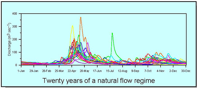 A graphic illustrating 20 years of a natural flow regime