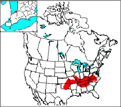 Figure 1 is a map of the global distribution of Bluehearts, which occurs from Oklahoma and Kansas in the west to Virginia and North Carolina in the east, and one small occurrence on the southeast shore of Lake Huron in Canada.