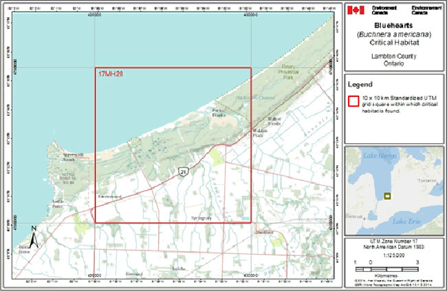 This standardized national grid system indicates the general geographic area containing critical habitat; detailed critical habitat mapping is not shown. Based on the identification criteria, the grid squares contain approximately 151 ha of critical habitat.