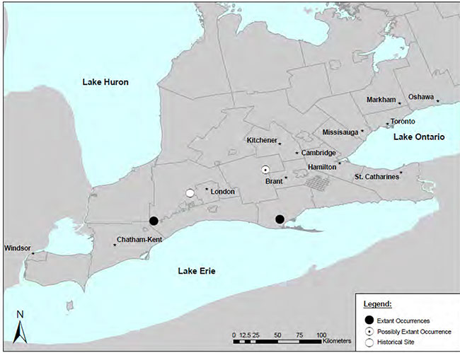 Map of the distribution of Large Whorled Pogonia in Ontario, showing the locations of extant and possibly extant occurrences and historical sites.