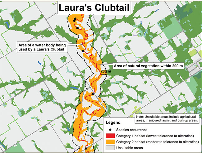 Diagram illustrating a sample application of the habitat regulation for Laura’s Clubtail, depicting the habitat categorization described in this document.