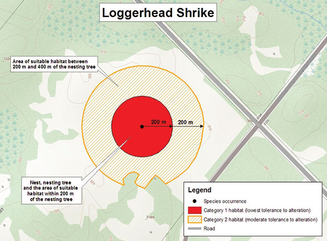 Diagram illustrating a sample application of the general habitat protection for Loggerhead Shrike, depicting the habitat categorization described in this document.