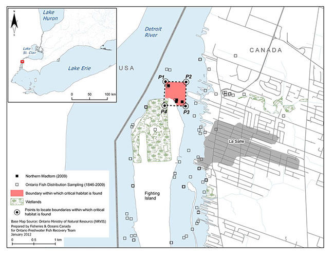 This is a map showing the critical habitat identified for the Northern Madtom within the Detroit River near Fighting Island