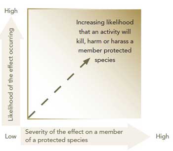 Graphic depicting likelihood that an event will kill harm or harass members of a protected species.