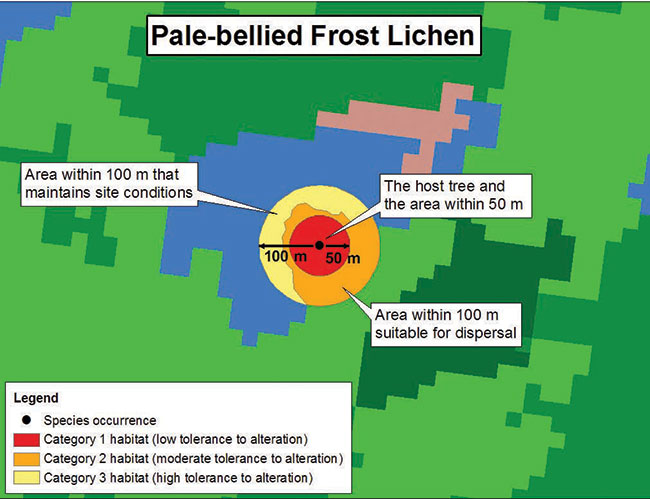 Diagram illustrating a sample application of the habitat regulation for Pale-bellied Frost Lichen, depicting the habitat categorization described in this document.