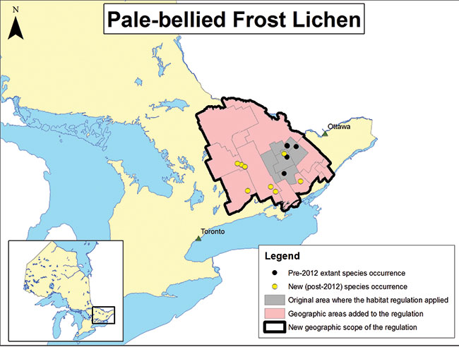 Figure 1: Sample application of the habitat regulation for Pale-bellied Frost Lichen.