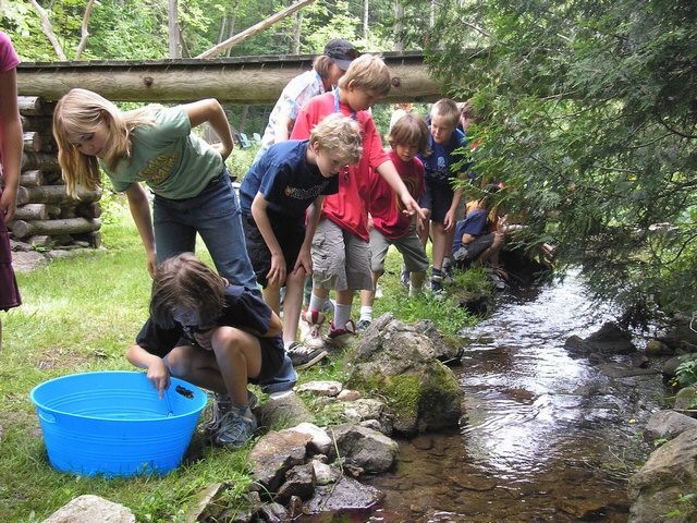 Children by a Stream looking at fish