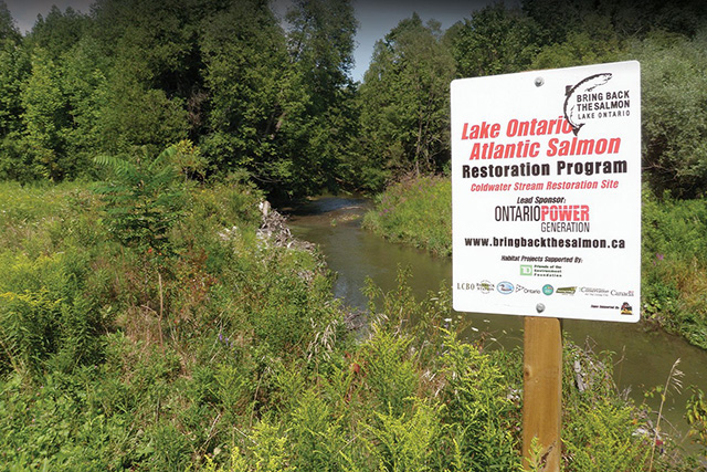 Photo d’un panneau informatif sur le Programme de réintroduction du saumon de l'Atlantique dans le lac Ontario.