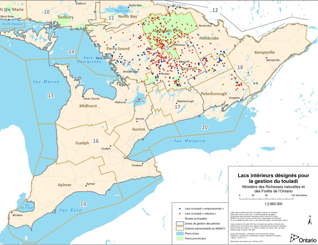 Carte des lacs intérieurs désignés pour la gestion du touladi dans la région Sud. Les cercles bleu représentent les lacs à touladi empoissonnés, les triangles rouge représentent les lacs à touladi naturels, les lignes gris représentent les routes majeures, les lignes gris plus foncé représentent les limites des zones de gestion des pêches, les lignes or foncé marquent les limites des districts administratifs du ministère des Richesses naturelles et des Forêts de l’Ontario, les zones en bleu représentent des plans d’eau et les zones en vert représentent les parcs provinciaux.