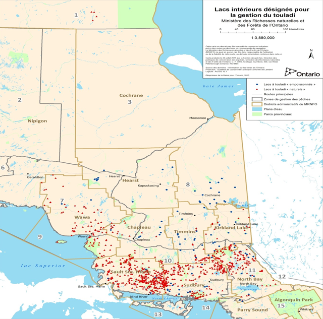 Carte des lacs intérieurs désignés pour la gestion du touladi dans la région Nord-Est.. Les cercles bleu représentent les lacs à touladi empoissonnés, les triangles rouge représentent les lacs à touladi naturels, les lignes gris représentent les routes majeures, les lignes gris plus foncé représentent les limites des zones de gestion des pêches, les lignes or foncé marquent les limites des districts administratifs du ministère des Richesses naturelles et des Forêts de l’Ontario, les zones en bleu représentent des plans d’eau et les zones en vert représentent les parcs provinciaux.