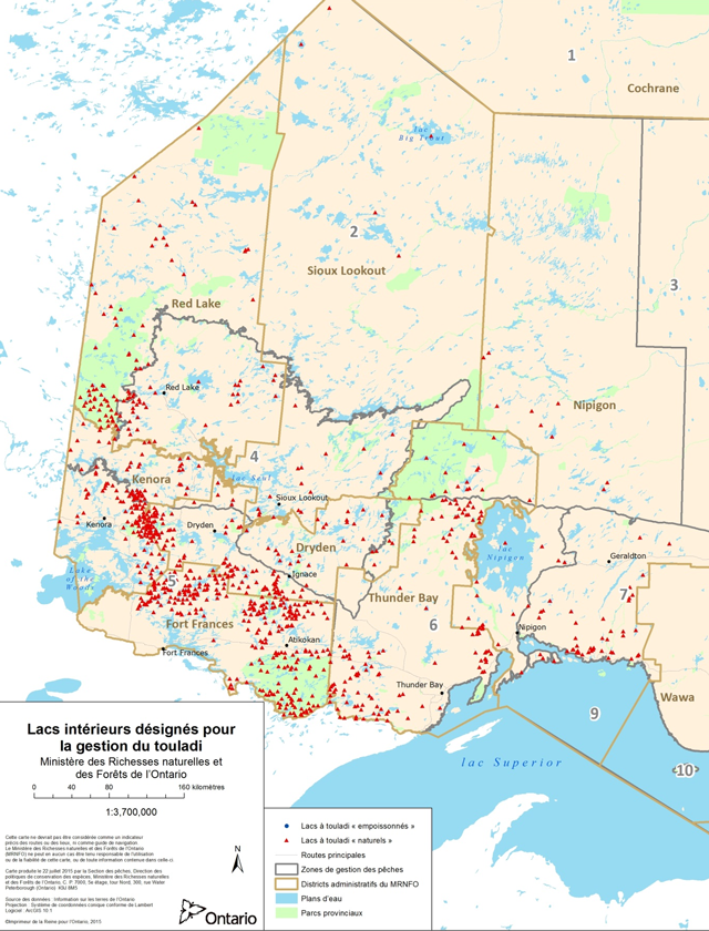 Carte des lacs intérieurs désignés pour la gestion du touladi dans la région Nord-Ouest. Les cercles bleu représentent les lacs à touladi empoissonnés, les triangles rouge représentent les lacs à touladi naturels, les lignes gris représentent les routes majeures, les lignes gris plus foncé représentent les limites des zones de gestion des pêches, les lignes or foncé marquent les limites des districts administratifs du ministère des Richesses naturelles et des Forêts de l’Ontario, les zones en bleu représentent des plans d’eau et les zones en vert représentent les parcs provinciaux.