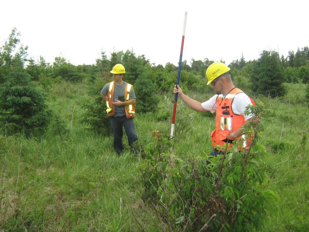 Photo showing a regeneration assessment on the Abitibi River Forest