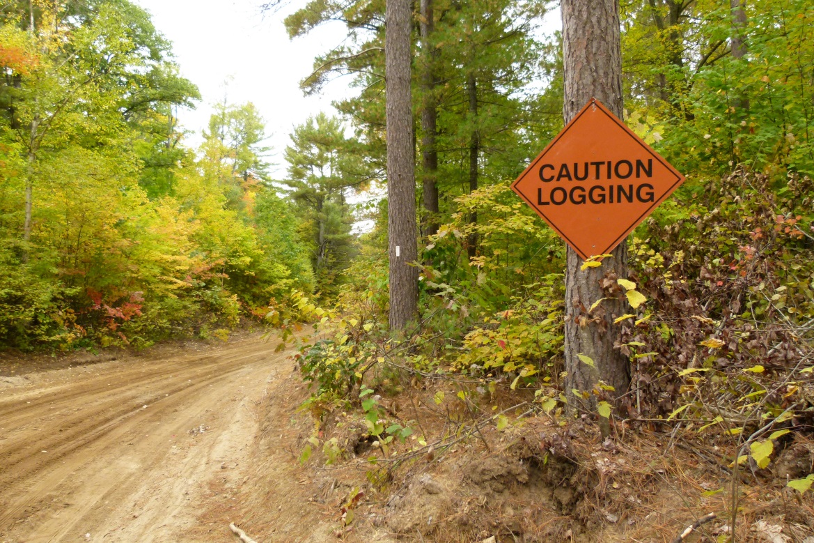Photo showing a forest access road with a 'caution logging' sign