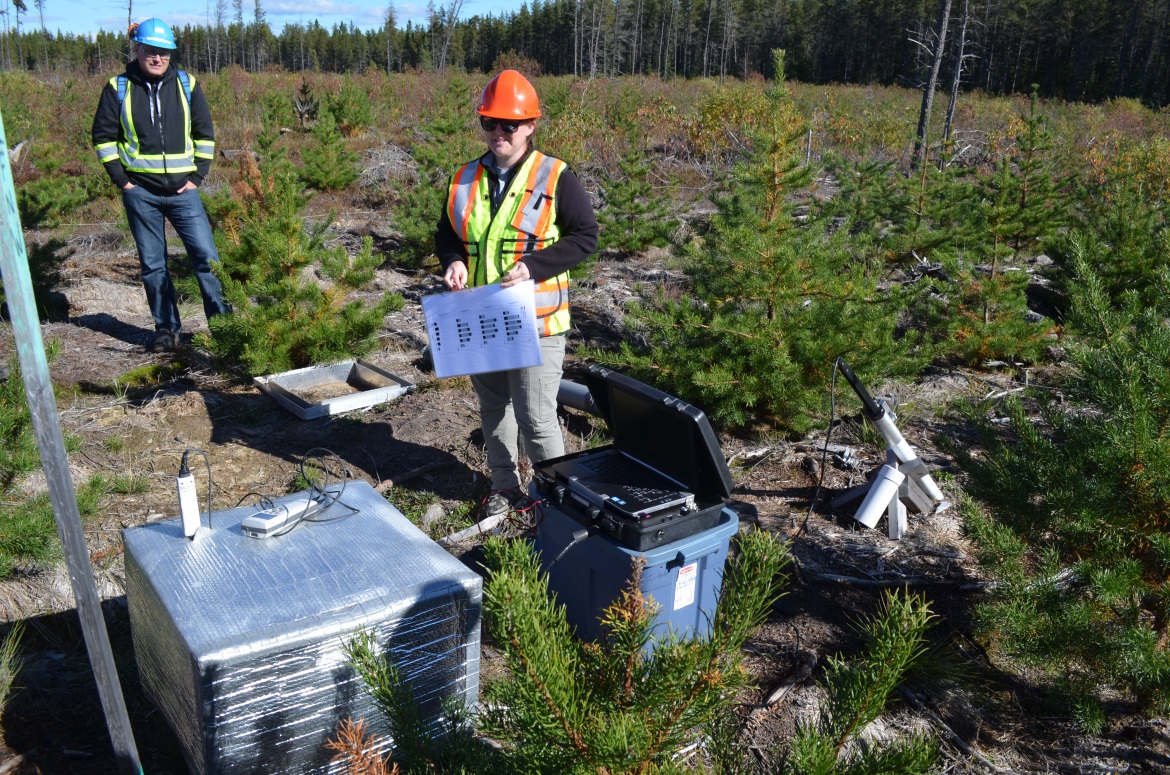 Photo showing forest soil research study