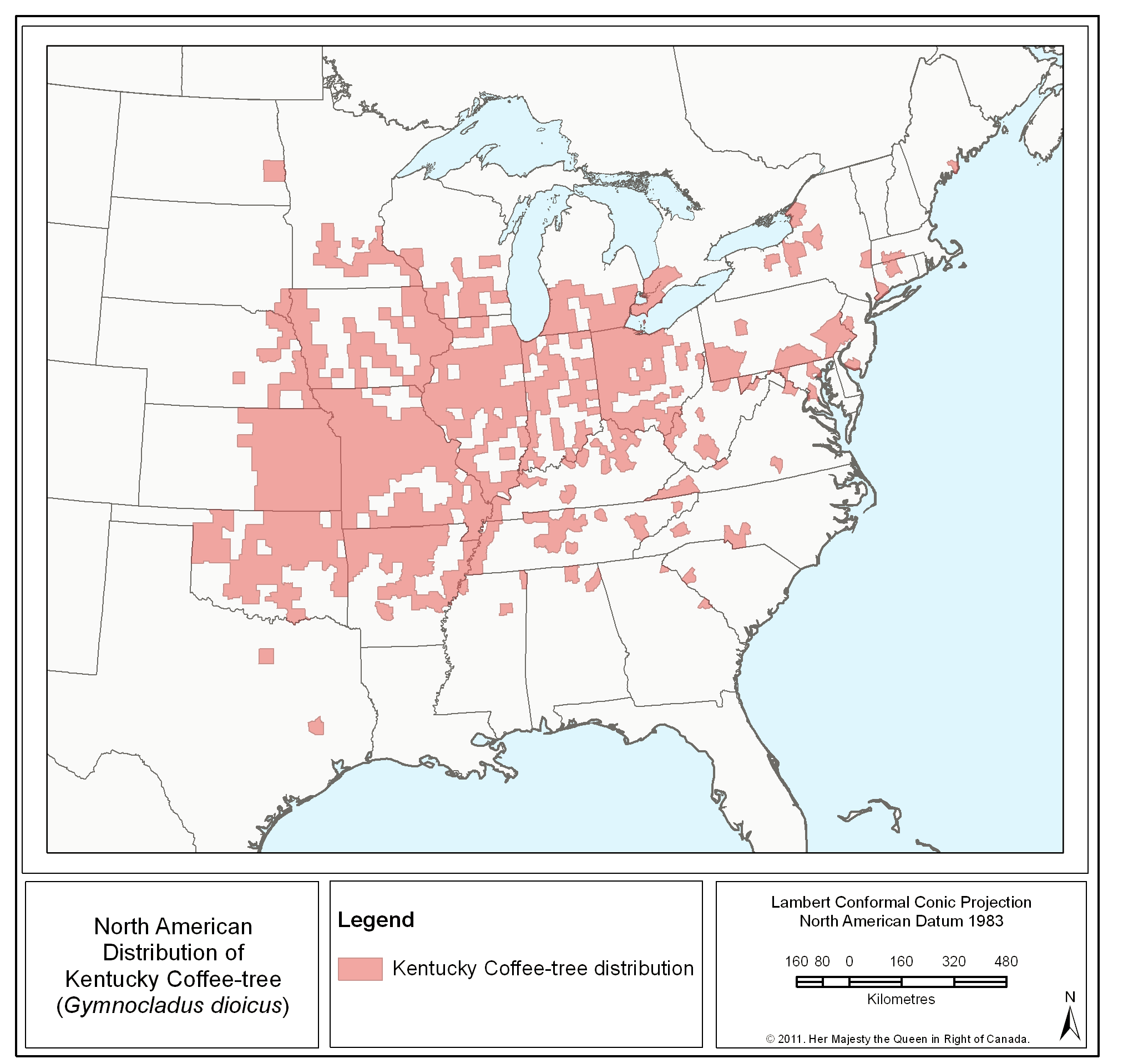 a map showing the distribution of Kentucky Coffee-tree in north America.